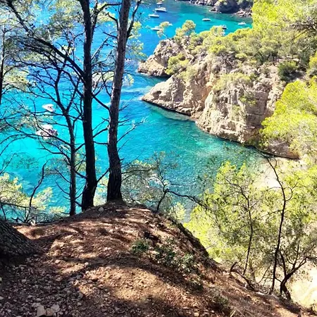 Astrella Bandol