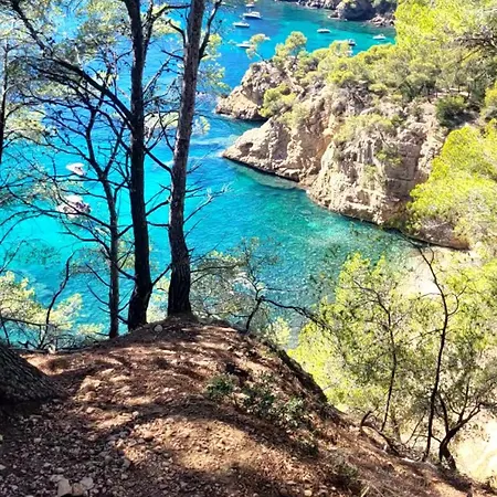 Astrella Bandol