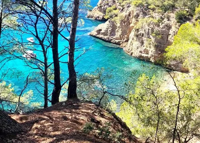 Astrella Bandol